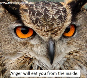 inspiring quote on anger