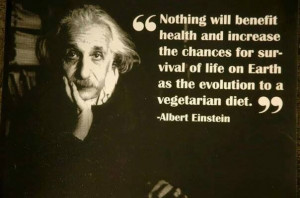 Albert Einstein's words...