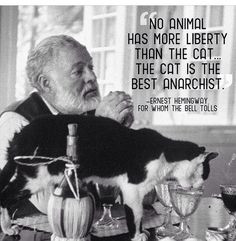 Hemingway More