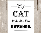 ... cat quotes, Cat lover quotes, Famous cat quotes, Best cat quotes