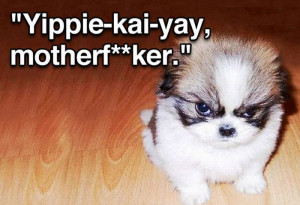 Tough Guy Movie Quotes by a puppy07 Funny: Tough guy movie quotes by a ...