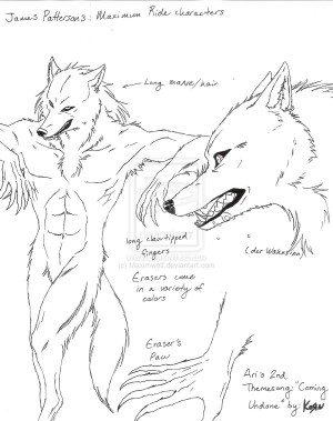 Maximum Ride Characters Ari Maximwolf