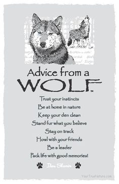 Spirit Totem Animals: #Advice from a #Wolf .
