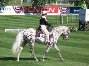 Most Useful/Versatile Breed.?.