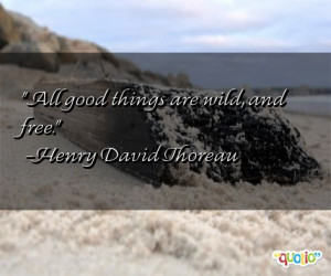 All good things are wild, and free. -Henry David Thoreau