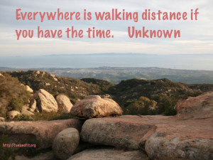 Motivational Exercise Quote: Everything is Within Walking Distance If ...