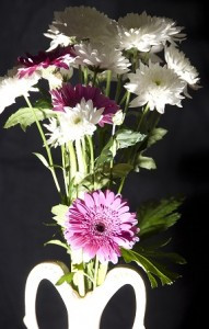 Daisies for Your Reception