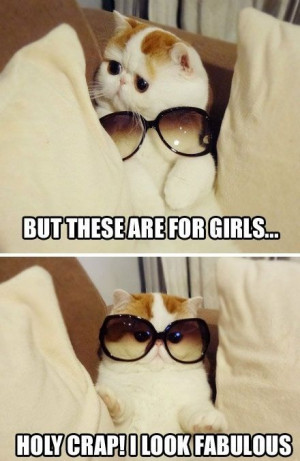 ... these are for girls... Holy crap! I look fabulous. Cat in sunglasses