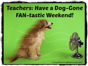 Have a Dog - Gone FAN-tastic Weekend!