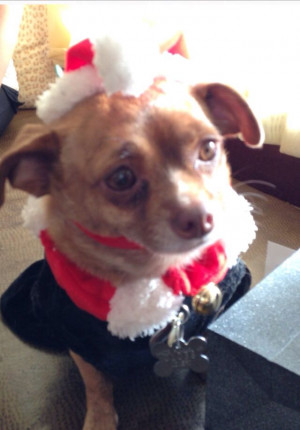 Pinned by Diane Cermele