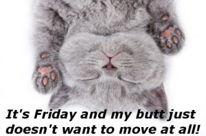 ... ... It's Friday and my butt just doesn't want to move at all ... lol
