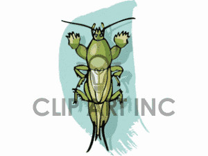 ... grasshoppers cricket crickets katydid.gif clip art animals insects