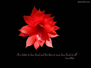 ... And Life: Nice Quotes About Love With Simple Capture Of The Red Flower