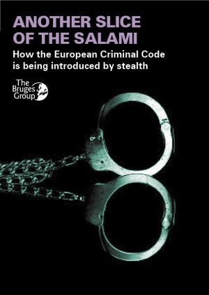 Another slice of the Salami: How the European Criminal Code is ...