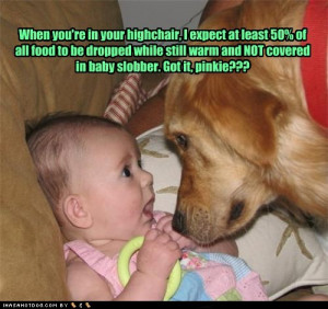 funny dog sayings cute dog quotes funny dog jokes funny quotes funny ...