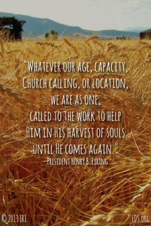 Funny Quotes Contact Dmca...