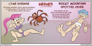 Lyme disease vs Rocky Mountain Spotted Fever Nursing Rocks, Nursing ...