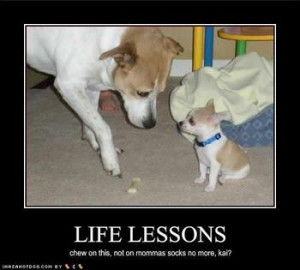 What life lesson did you learn the hard way?