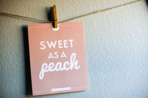 Southern Sayings: 8 x 10 Sweet as a Peach Print - Sweet Southern Charm ...