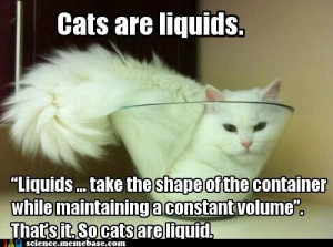 Funny Science Cat Funny science cat