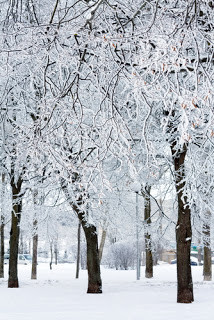 Christmas Quotes ~ Augusta E. Rundel