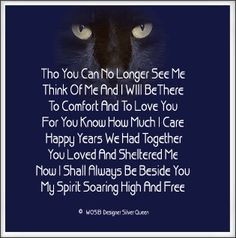 Quotes About Cats Dying | forum code 1 url http www smileyvault com ...