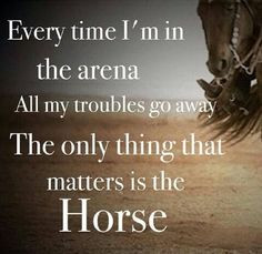 Great Horse Quotes