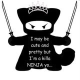 Ninja Quotes