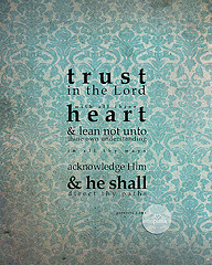 Welcome to Flickr Hive Mind. If you log into Flickr you will see your ...