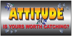 Attitude Is Yours Worth Catching, Banners and Posters - Bring the team ...