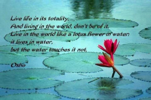 ... life-in-its-totality-and-living-in-the-world-dont-be-of-it-water-quote