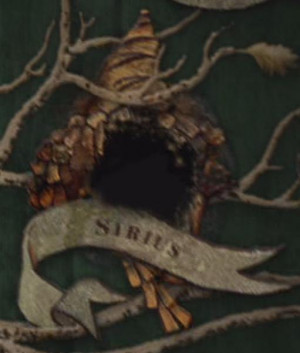Sirius' burn mark on the Black family tree.