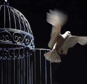 The Caged Bird Sings