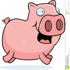 Pig Running Royalty Free Stock Photo Image