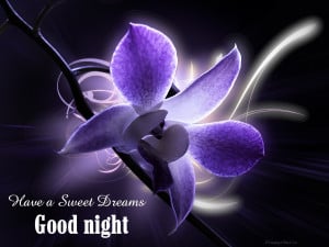 Have a Sweet Dreams ~ Good Night Quote