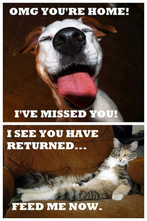 funny animal sayings and quotes did you ever notice when you blow in a ...