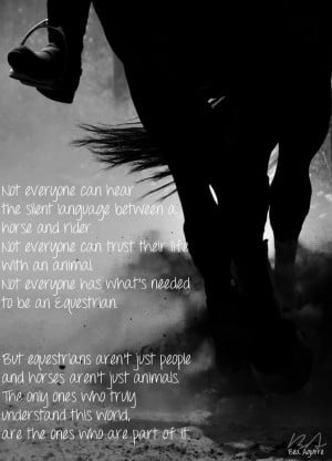Horse Quotes About Trust Not everyone can trust their