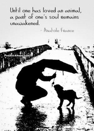 Until one has loved an animal, a part of one's soul remains unawakened ...