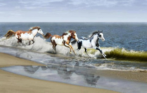 Quotes, Motivational Pictures and Wonderful Thoughts,beautiful thought ...