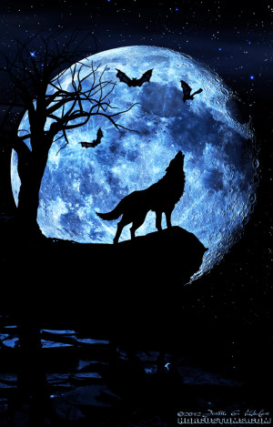 Wolf-howling-composite-art hdrcustoms website design graphic design ...