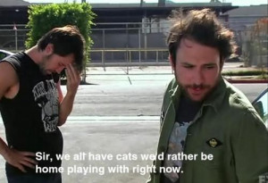 cats, cool, funny, now, play, playing, quote, subtitles