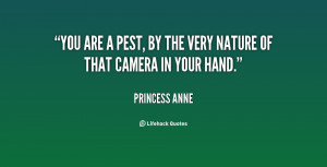 You are a pest, by the very nature of that camera in your hand.