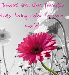 Flowers Are Like Friends They Bring Color For Your World