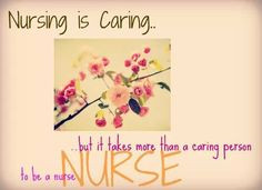 ... profession that does as much as nurses do are teachers teacher nursing