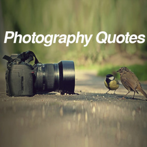530-photographer-quotes-famous.jpg