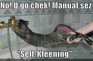 2744720162_funny_pictures_cat_bath_self_cleaning_manual_xlarge.jpeg