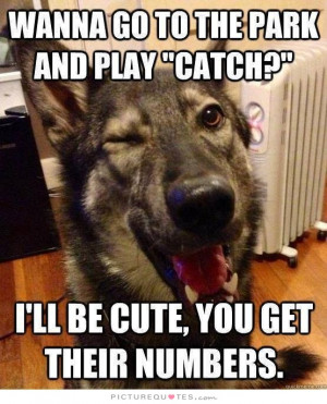 Dog Quotes Funny Dog Quotes