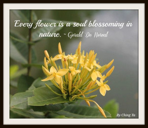 flower quote