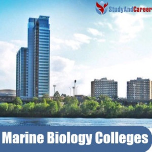 Marine Biology Colleges