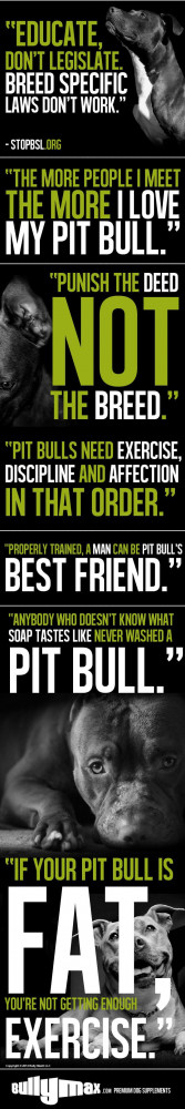 Have a pit bull quote of your own?